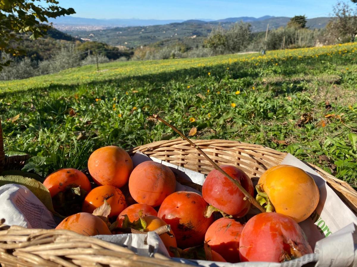 Florence Villa Violetta Bagno a Ripoli Kültér fotó